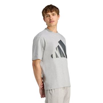 Camiseta Masculina Adidas Holiday Big Logo Cinza
